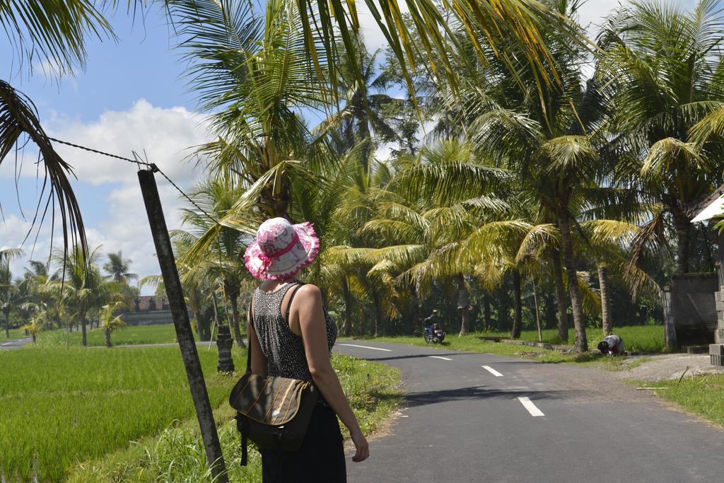 Angel House Ubud Eco Villa Luaran gambar