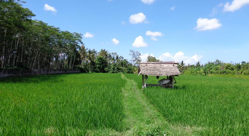 Angel House Ubud Eco Villa Luaran gambar